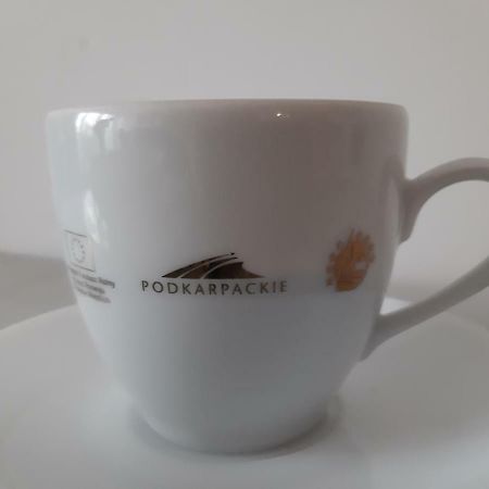 Apartament Beksa Apartman Sanok Kültér fotó